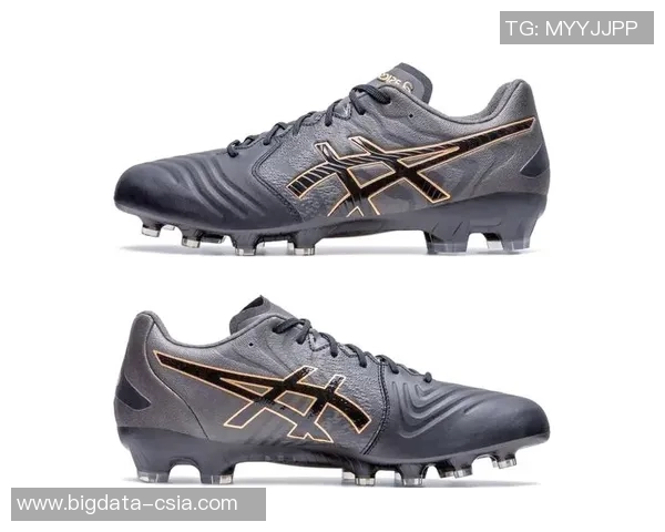 足球明星球鞋价格揭秘：高端品牌与性能款式各有何特点？