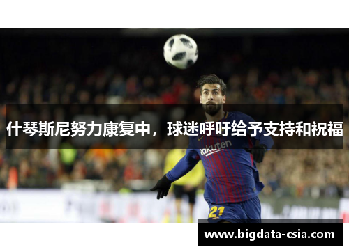 什琴斯尼努力康复中，球迷呼吁给予支持和祝福